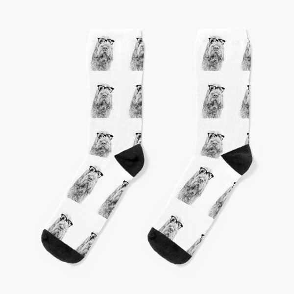 Intelligent friend Spinone Socks