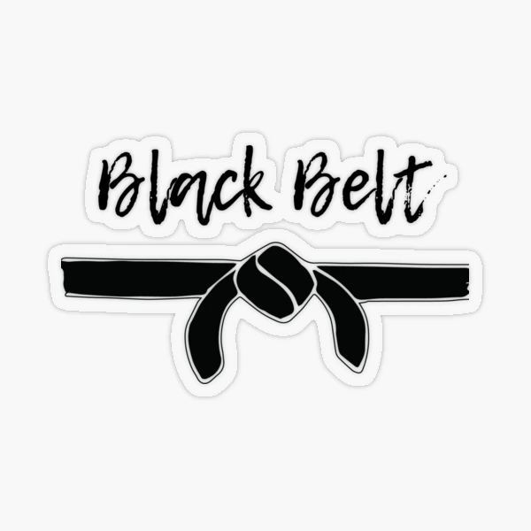 Orange Belt Martial Arts Gift Idea, Karate, Tae Kwon Do, Judo