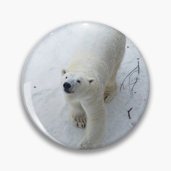 Item preview, Polar bear in snow and looking up  designed and sold by HTPOP.