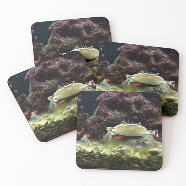 Item preview, You Want a Piece of Me? designed and sold by AGODIPhoto.