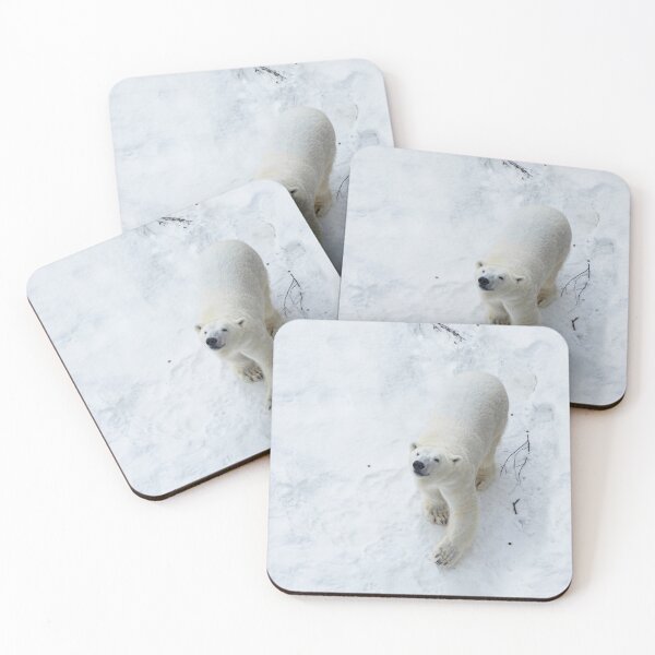 Item preview, Polar bear in snow and looking up  designed and sold by HTPOP.