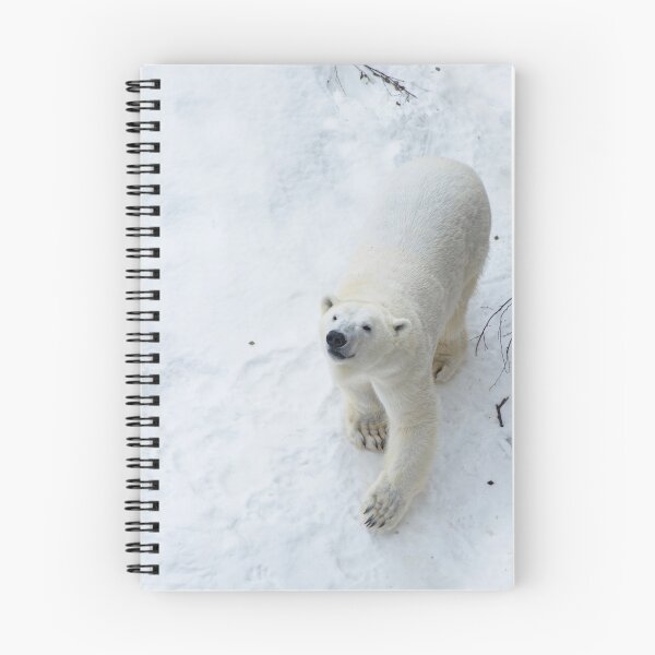 Item preview, Polar bear in snow and looking up  designed and sold by HTPOP.