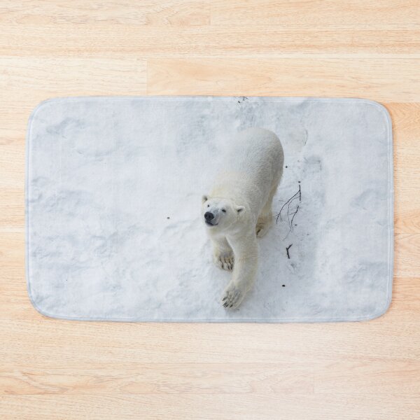 Item preview, Polar bear in snow and looking up  designed and sold by HTPOP.
