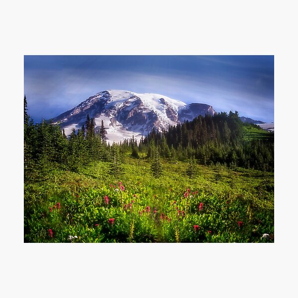 Wildflowers on the Mountain Photographic Print