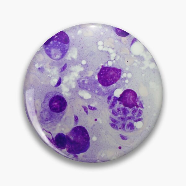 Item preview, Toxoplasma gondii - a protozoan parasite designed and sold by Bobbi Pritt.