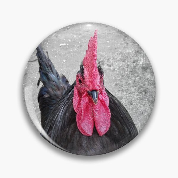 Item preview, Australorp Rooster designed and sold by palaco210.