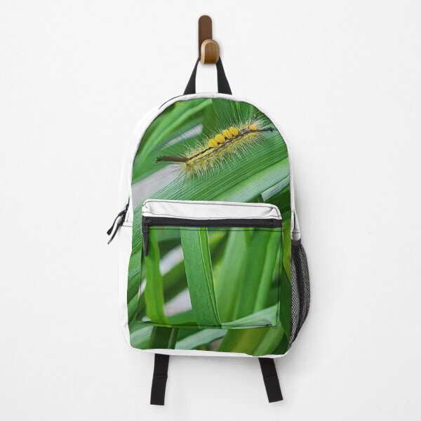 Item preview, Caterpillar crawling along a blade of grass designed and sold by Bacio.