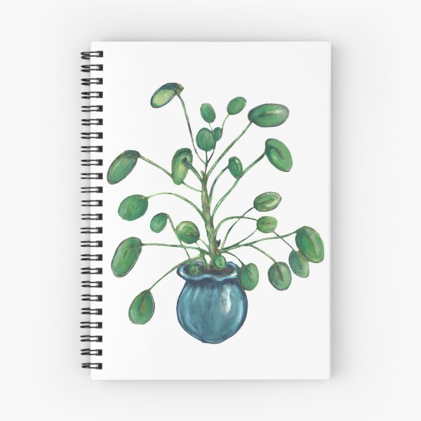 Item preview, pilea peperomioides / pancake plant designed and sold by acamille28.