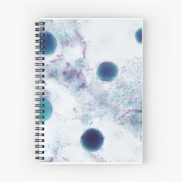 Item preview, Blastocystis hominis designed and sold by Bobbi Pritt.