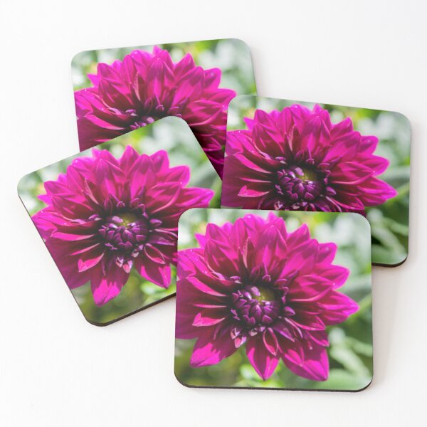 Item preview, Dahlia designed and sold by CanadianWild418.