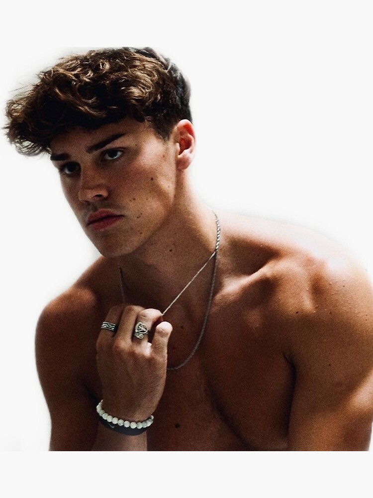 Noah Beck Sticker for Sale by breannaashley87 Redbubble