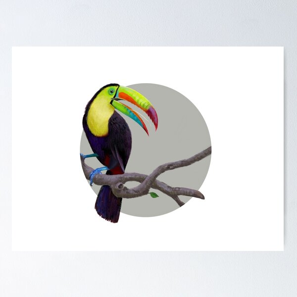 Item preview, Keel-Billed Toucan designed and sold by Oniomsra.