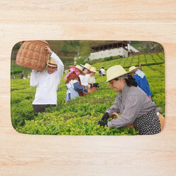 Item preview, Porto Formoso tea gardens designed and sold by Gaspar Avila.