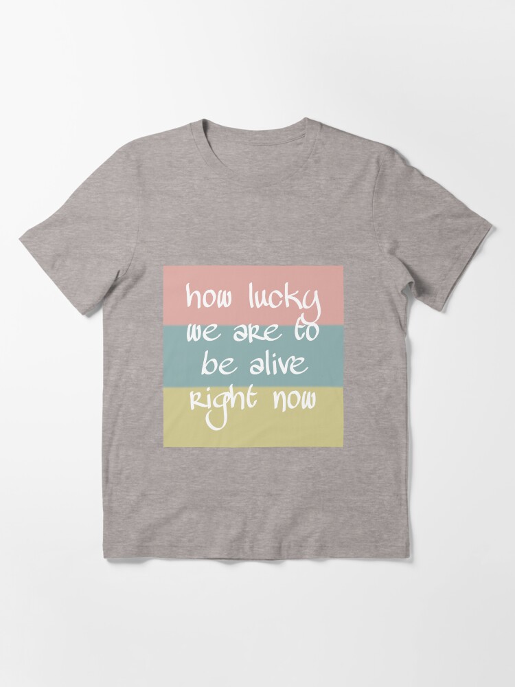 Hamilton schuyler sisters t shirt shop