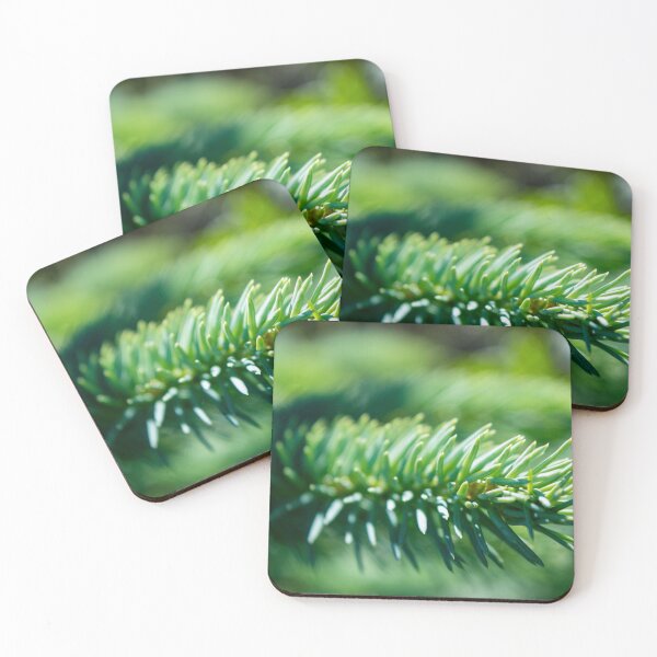 Item preview, Pine bow in macro designed and sold by CanadianWild418.