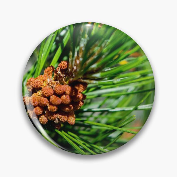 Item preview, Evergreen designed and sold by CanadianWild418.