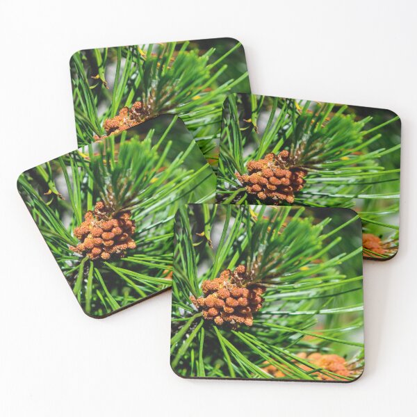 Item preview, Evergreen designed and sold by CanadianWild418.