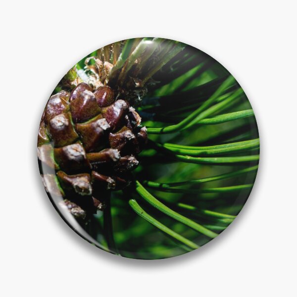 Item preview, Pine cone designed and sold by CanadianWild418.