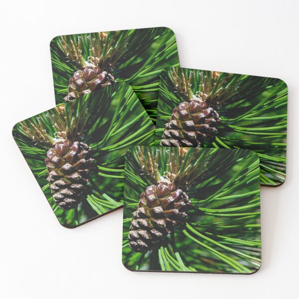 Item preview, Pine cone designed and sold by CanadianWild418.