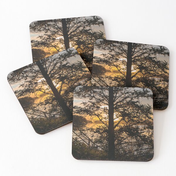 Item preview, Pine tree at sunset designed and sold by CanadianWild418.