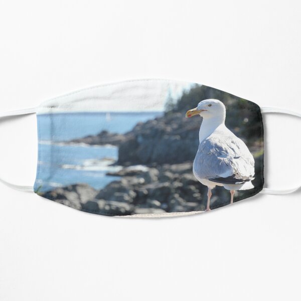 The Maine Gull Mask