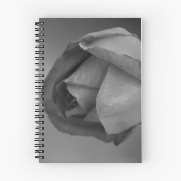 Item preview, the black rose ? designed and sold by treborbob.