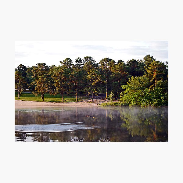 Bald Eagle and Great Blue Heron at Harry Wright Lake Photographic Print