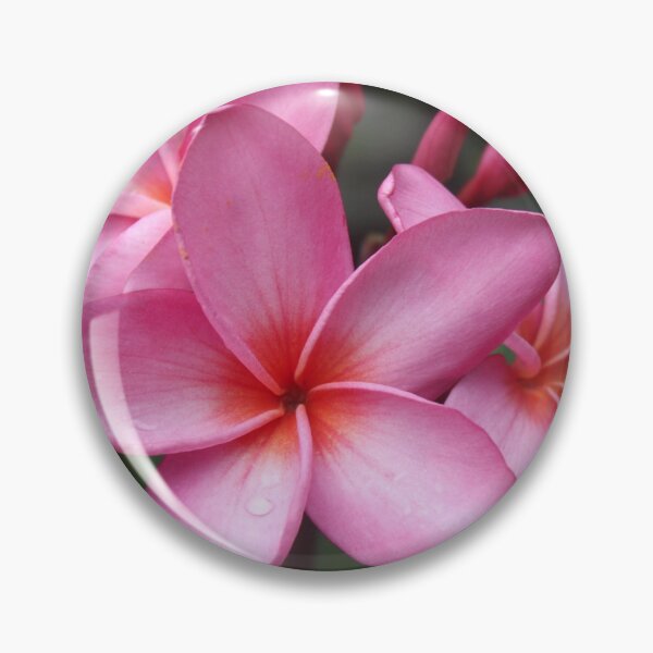 Item preview, Hawaii Pink Plumeria Tropical Hawaiian Aloha Flower designed and sold by alohagiftbox.