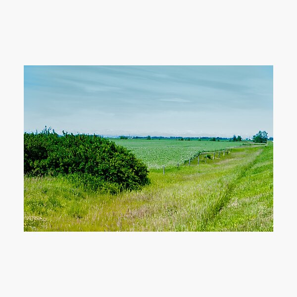 Item preview, Farmland designed and sold by CanadianWild418.