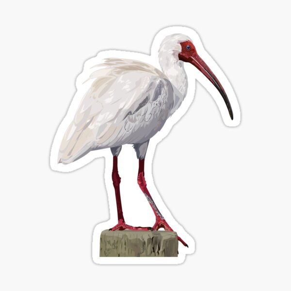 Item preview, White ibis designed and sold by obscurite.