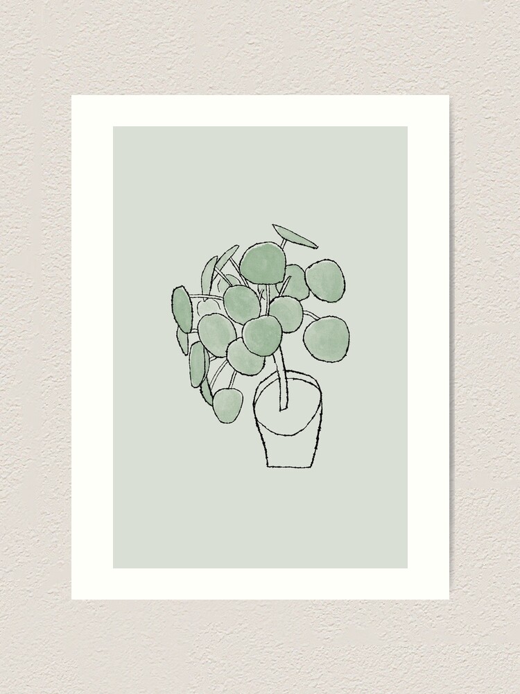 "Pilea peperomioides Houseplant Drawing" Art Print by cheesim | Redbubble