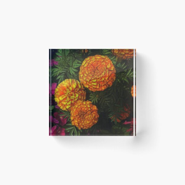 Item preview, Large Marigolds designed and sold by bloomingvine.