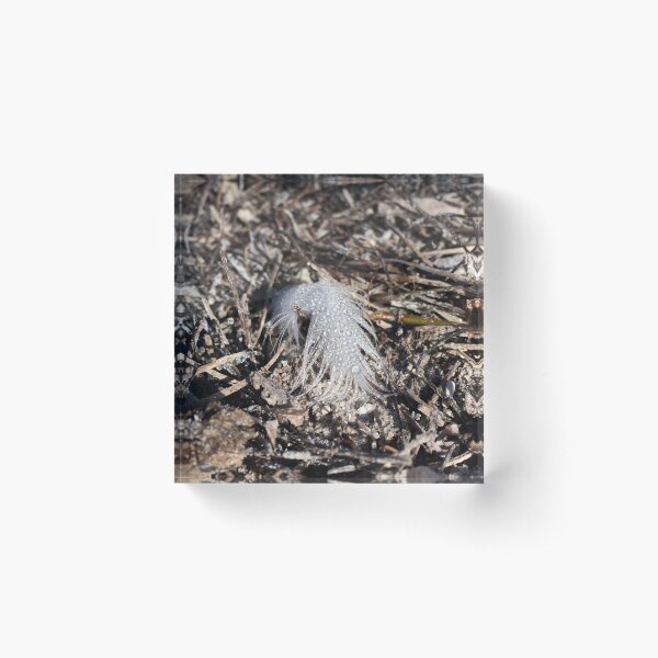 Item preview, Birds of a Feather designed and sold by AGODIPhoto.