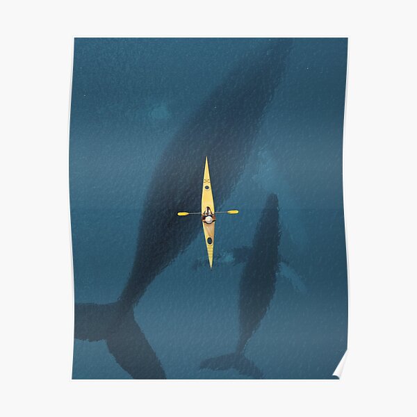 underwater creature Poster