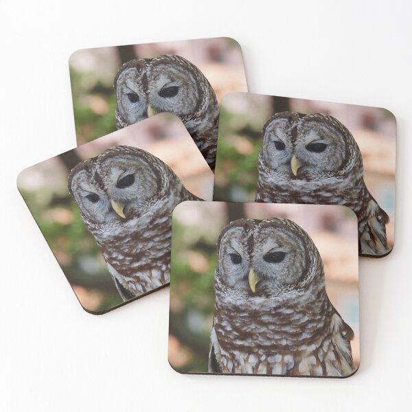 Item preview, Barred Owl  designed and sold by AGODIPhoto.