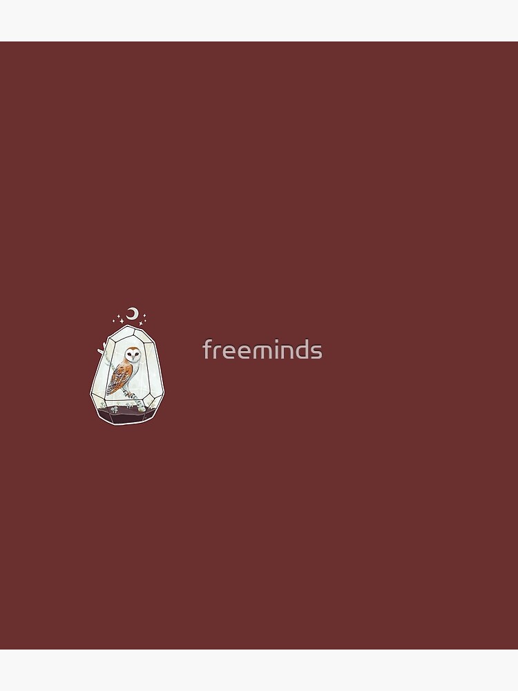 Barn Owl by freeminds
