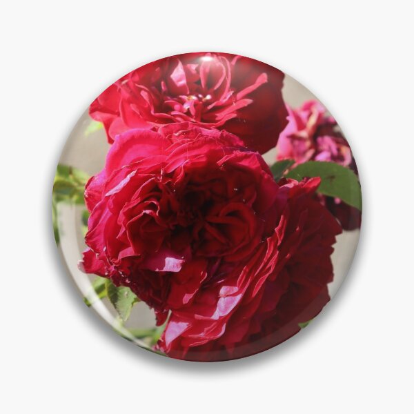 Item preview, Red roses designed and sold by jennomat.