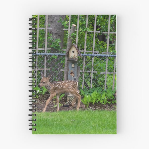 Item preview, Baby twin deer exploring my yard designed and sold by CanadianWild418.