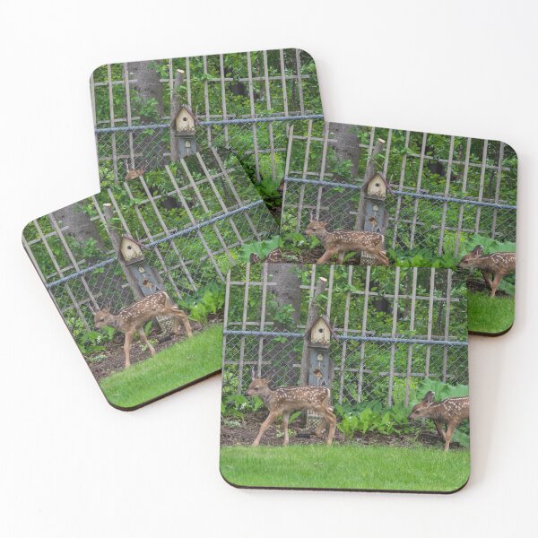 Item preview, Baby twin deer exploring my yard designed and sold by CanadianWild418.