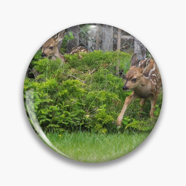 Item preview, Twin deer exploring designed and sold by CanadianWild418.