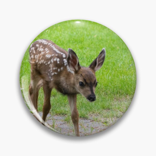 Item preview, One of the twin baby deer designed and sold by CanadianWild418.