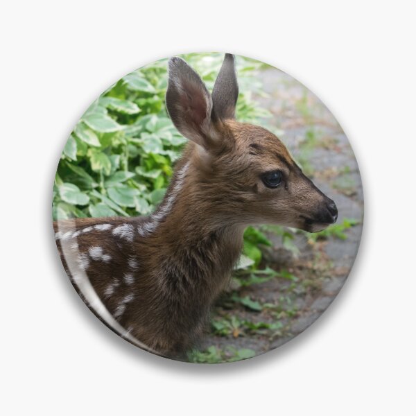 Item preview, Baby Mule Deer designed and sold by CanadianWild418.