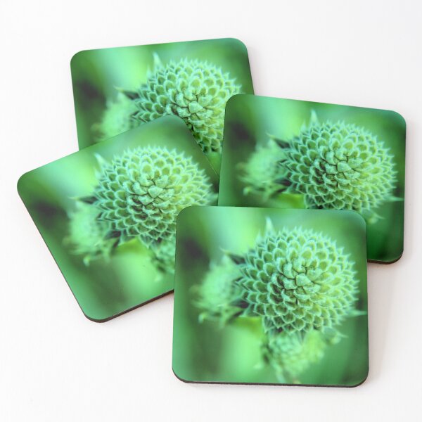 Item preview, Rattlesnake Master designed and sold by LynyrdSky.