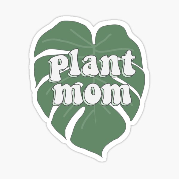 Item preview, plant mom sticker // monstera leaf designed and sold by scribblesbysar.