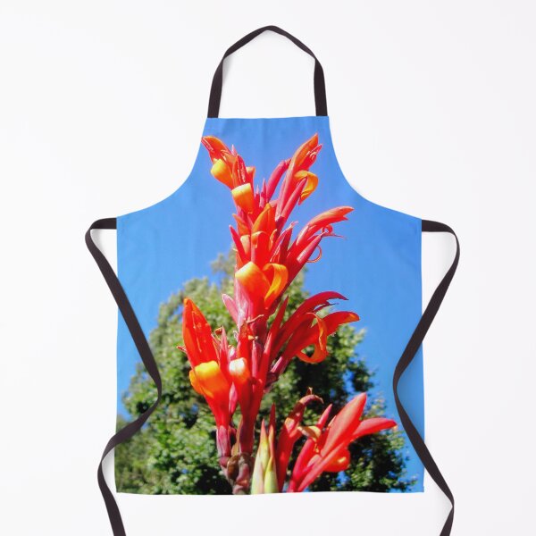 Item preview, Canna Red Dragon Flower Bloom designed and sold by Carlo Varo.