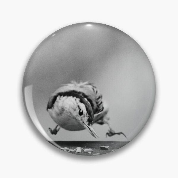 Item preview, Nuthatch in midair designed and sold by Laurie Minor.