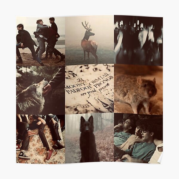 Marauders Aesthetic Poster