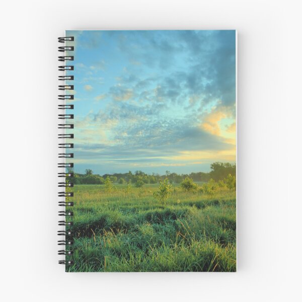 Item preview, Marsh Summer Sunrise 2020 designed and sold by LynyrdSky.