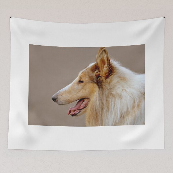 Item preview, Collie Portrait designed and sold by Laurie Minor.