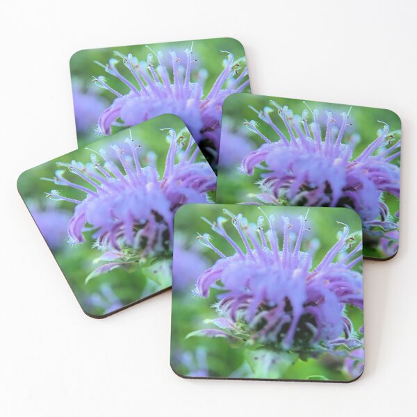 Item preview, Wild Bergamot Macro designed and sold by LynyrdSky.